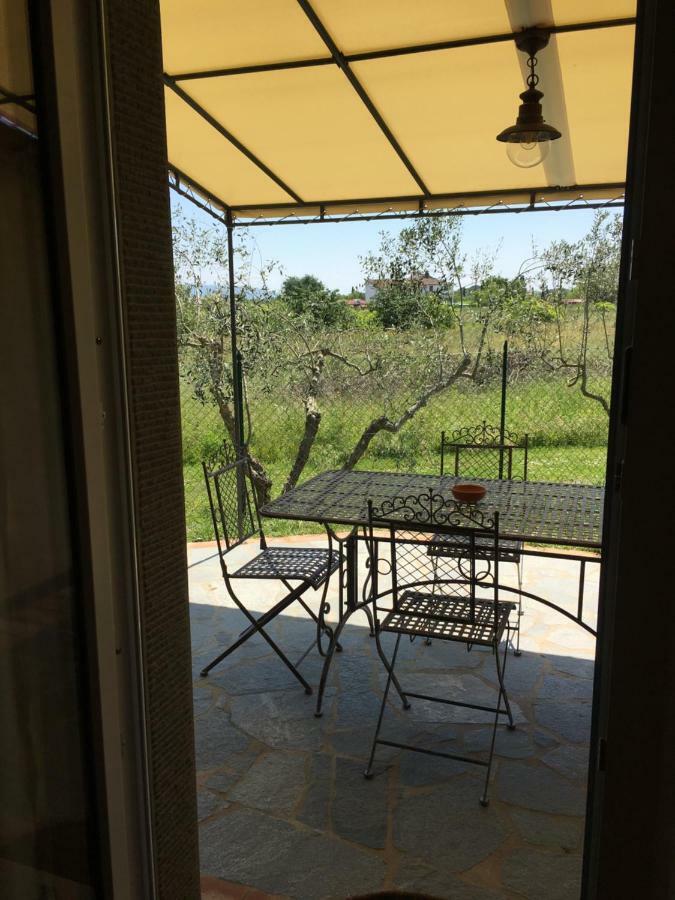 Villa Casa dei Tigli Cortona Esterno foto
